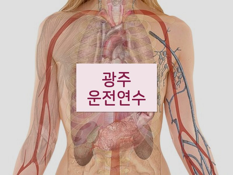 광주운전연수 후기