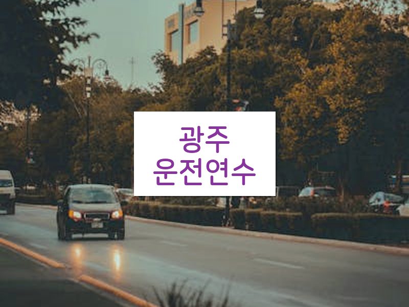 광주운전연수 후기