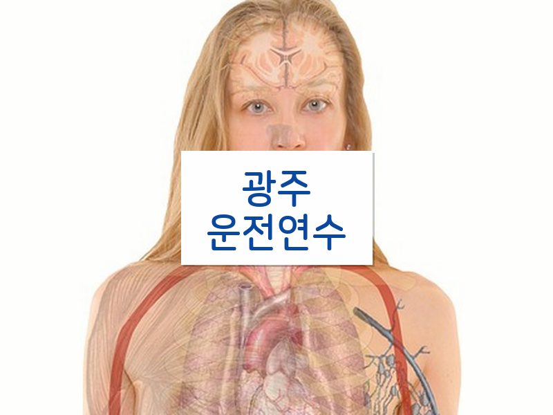 광주운전연수 후기
