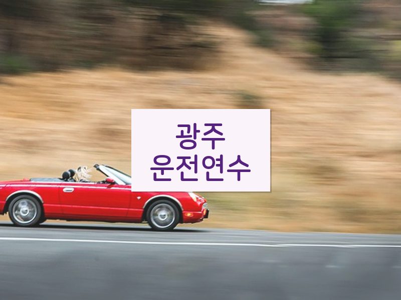 광주운전연수 후기