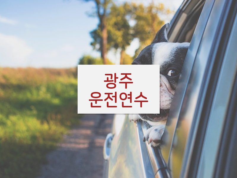 광주운전연수 후기