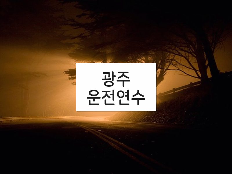 광주운전연수 후기