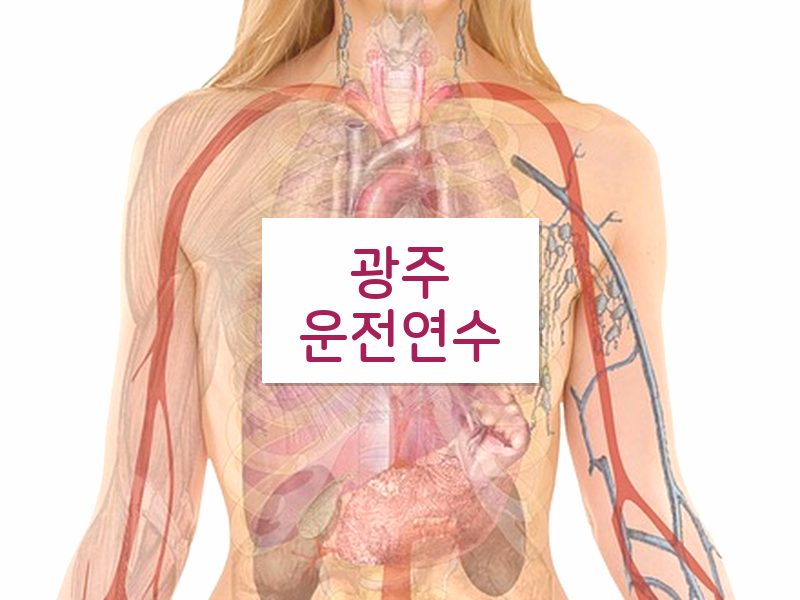 광주운전연수 후기
