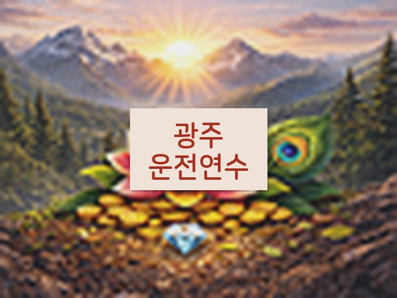 광주운전연수 후기