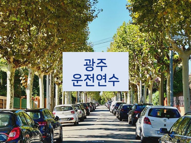 광주운전연수 후기