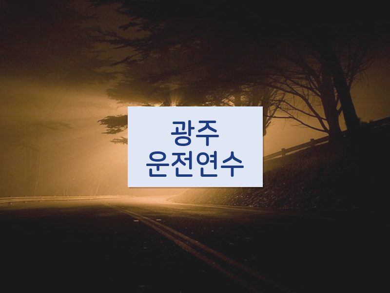 광주운전연수 후기
