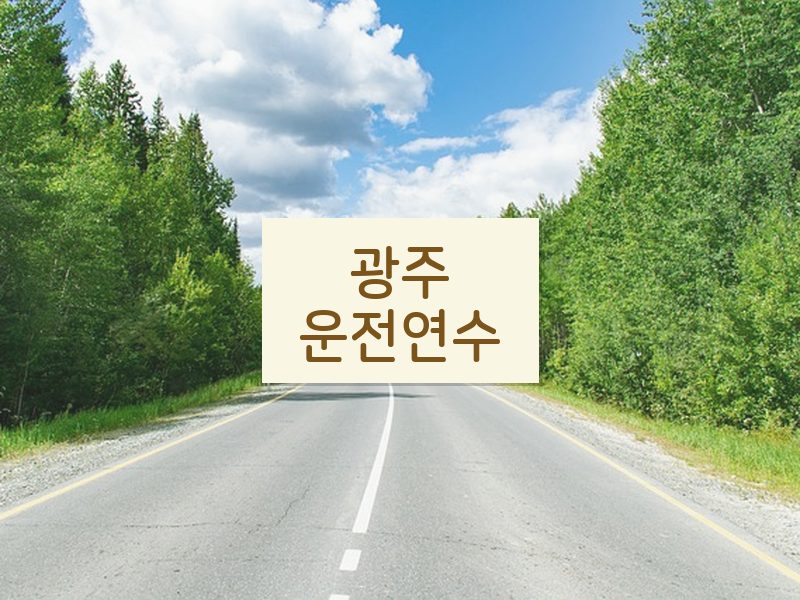 광주운전연수 후기