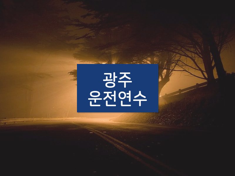 광주운전연수 후기