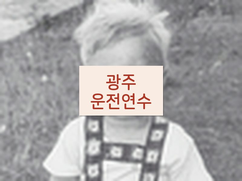 광주운전연수 후기