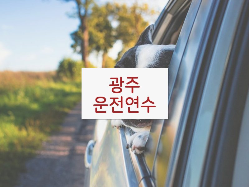 광주운전연수 후기
