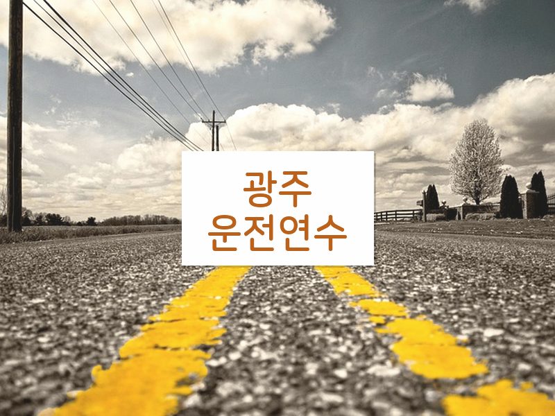 광주운전연수 후기