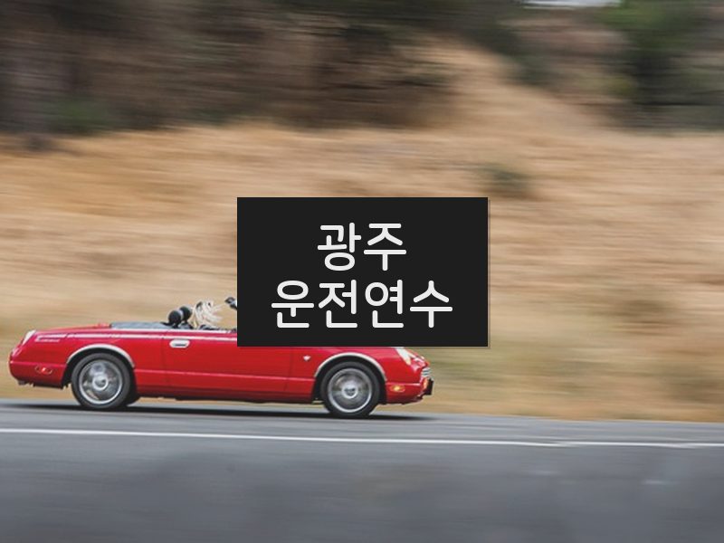 광주운전연수 후기