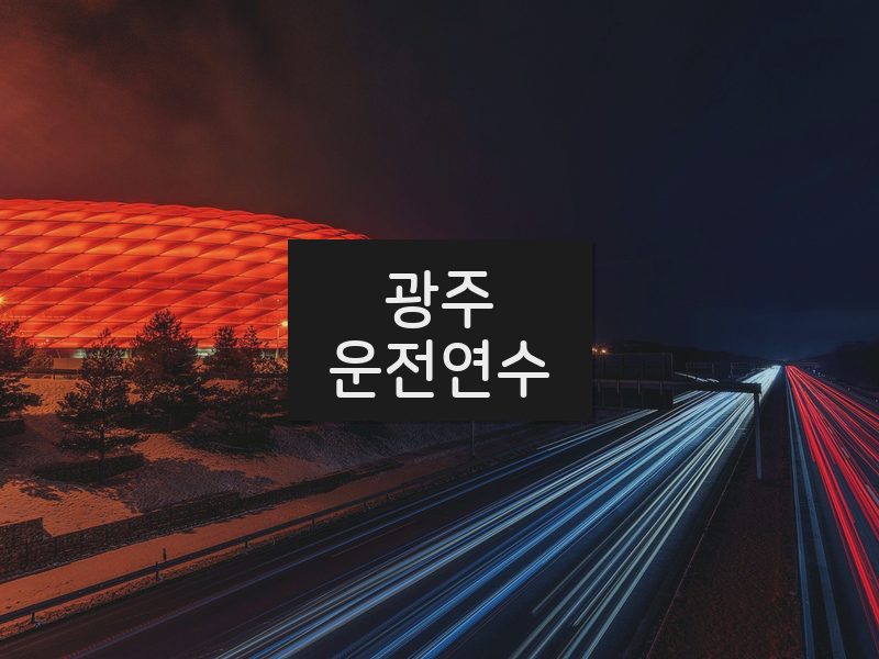 광주운전연수 후기