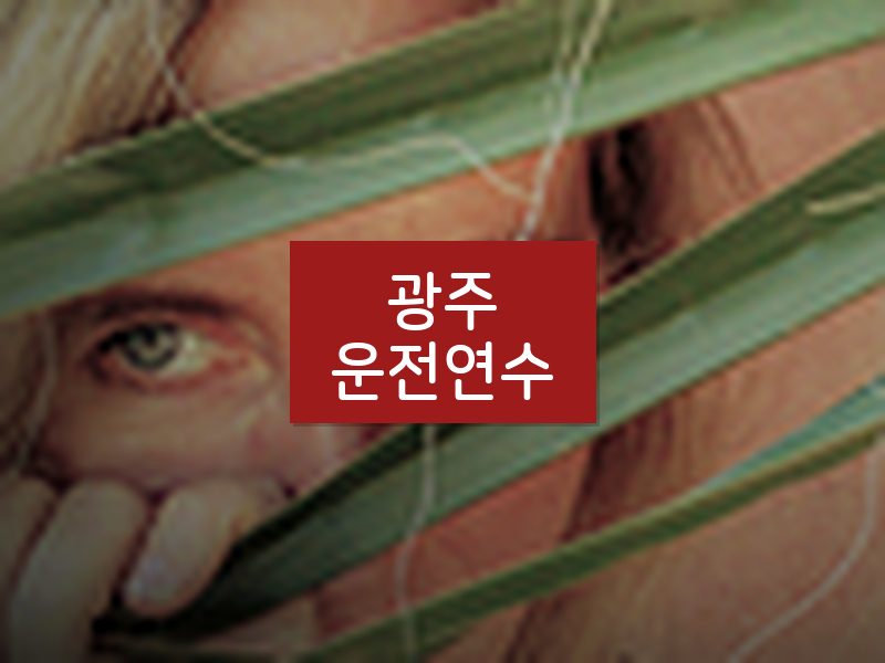 광주운전연수 후기