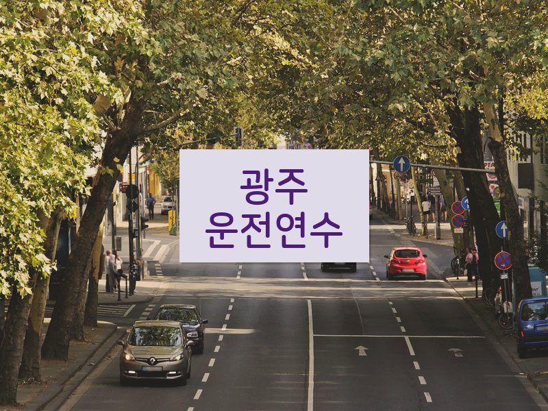 광주운전연수 후기