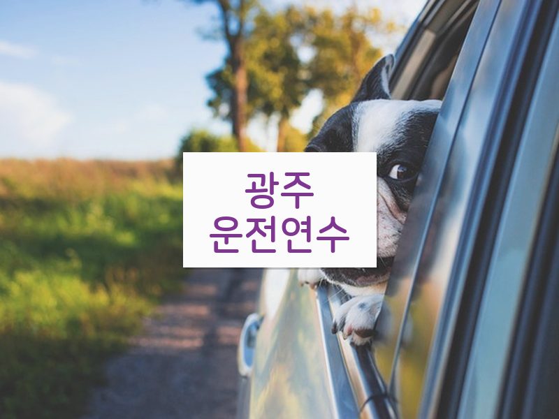 광주운전연수 후기