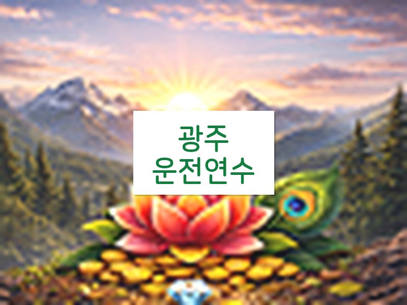 광주운전연수 후기