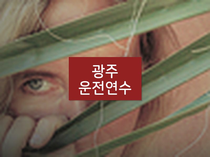 광주운전연수 후기