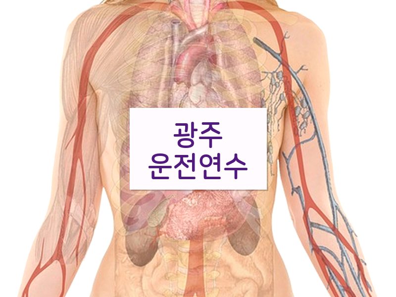 광주운전연수 후기