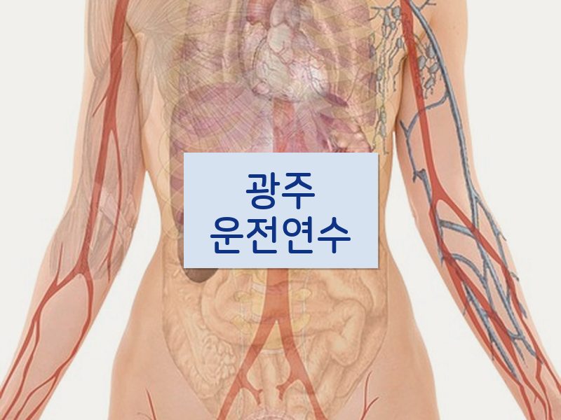 광주운전연수 후기