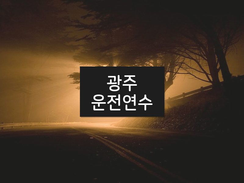 광주운전연수 후기