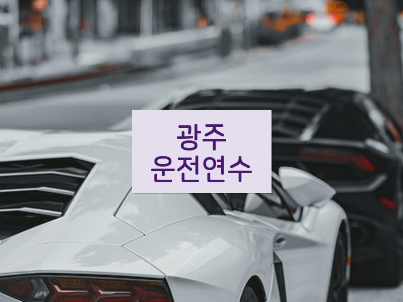 광주운전연수 후기