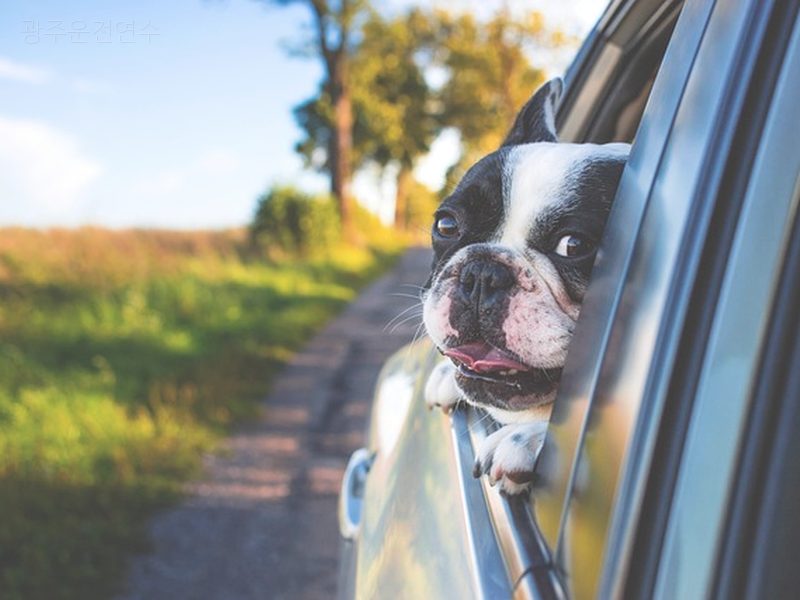 광주운전연수 후기