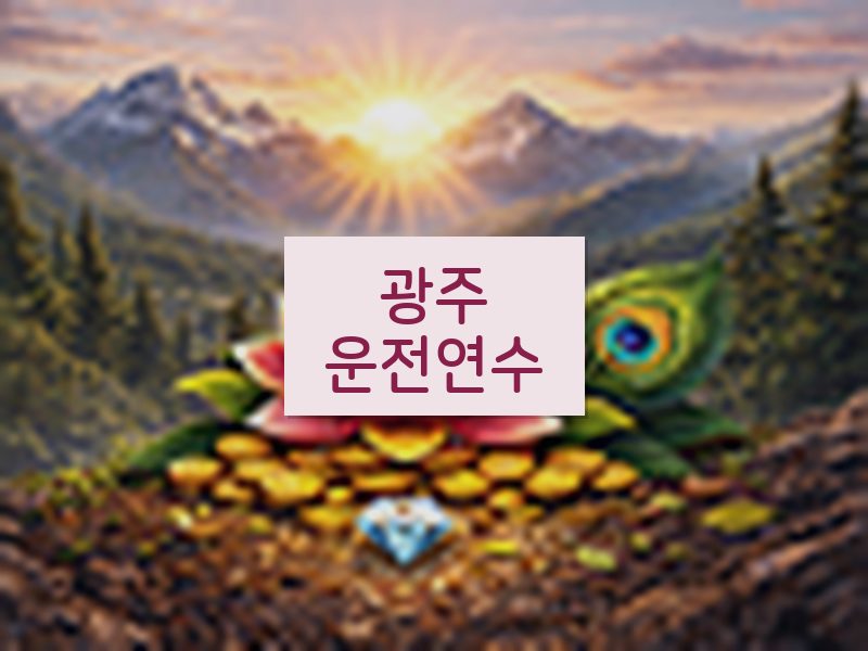 광주운전연수 후기