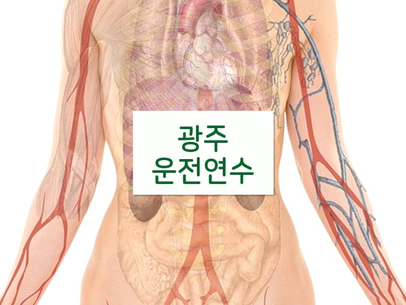 광주운전연수 후기