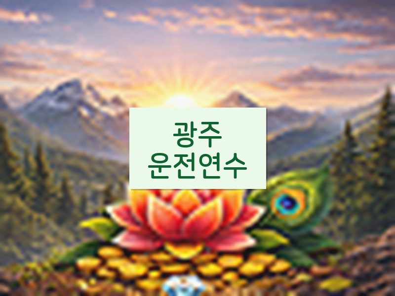 광주운전연수 후기