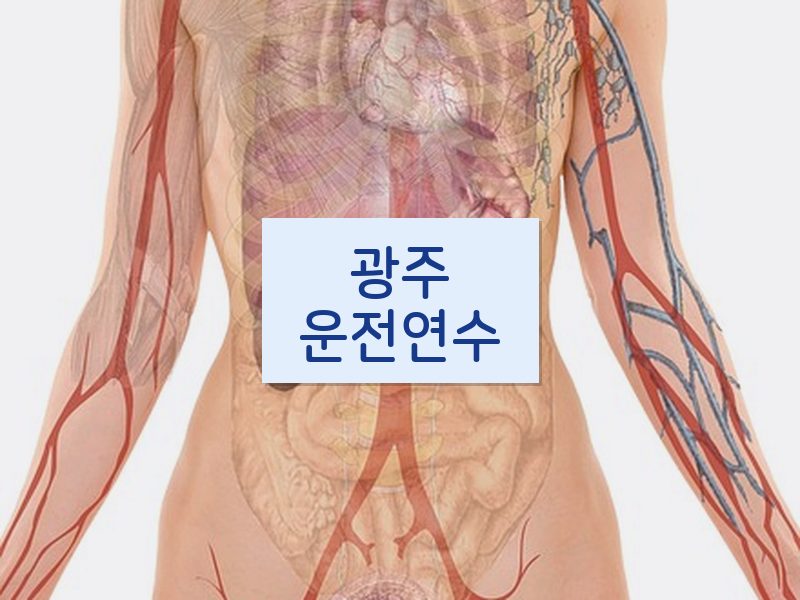 광주운전연수 후기