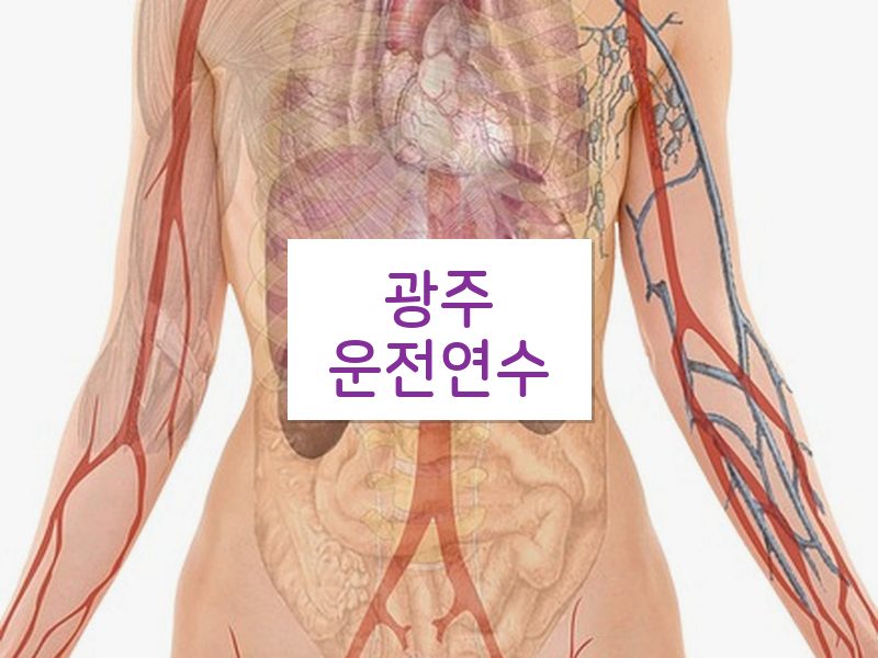 광주운전연수 후기