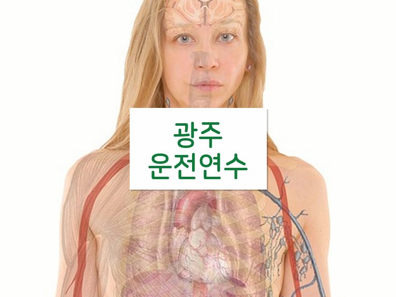 광주운전연수 후기
