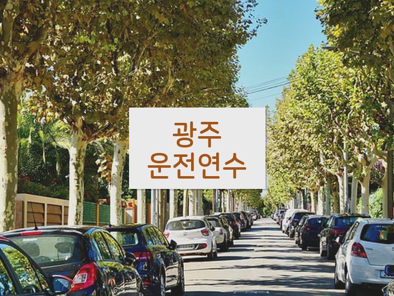 광주운전연수 후기