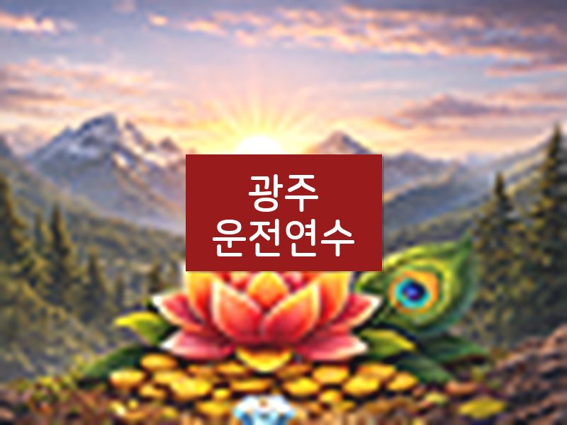 광주운전연수 후기