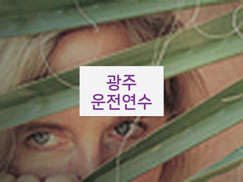 광주운전연수 후기