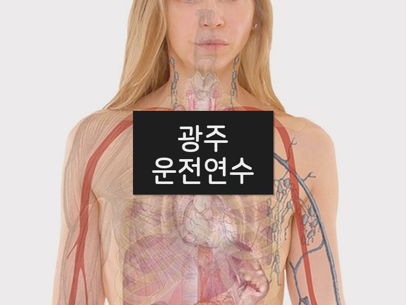 광주운전연수 후기