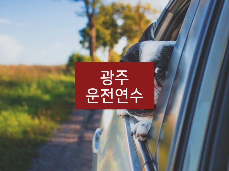 광주운전연수 후기