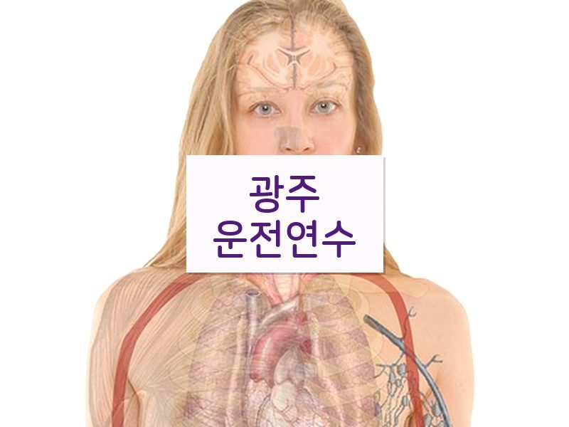 광주운전연수 후기