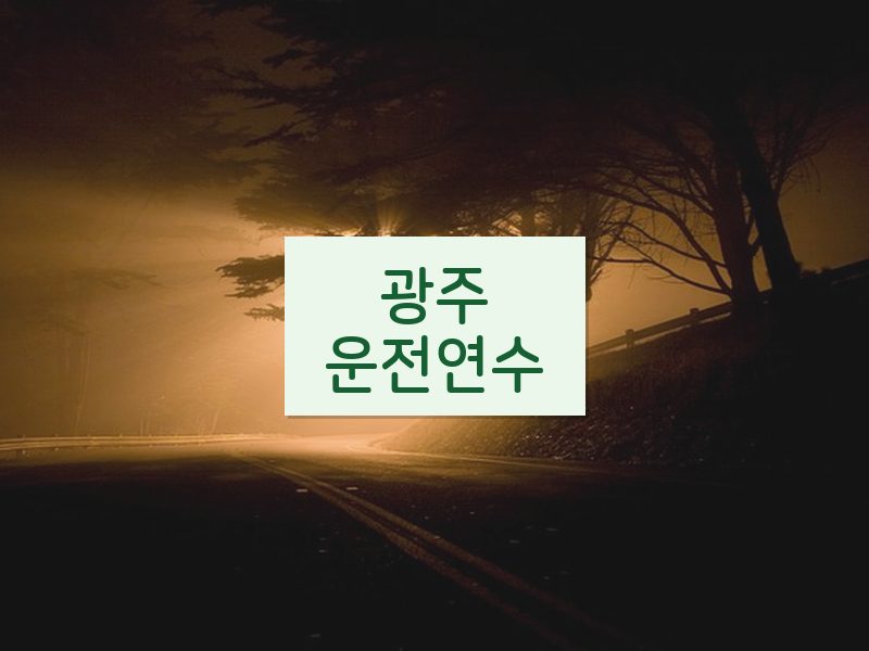 광주운전연수 후기