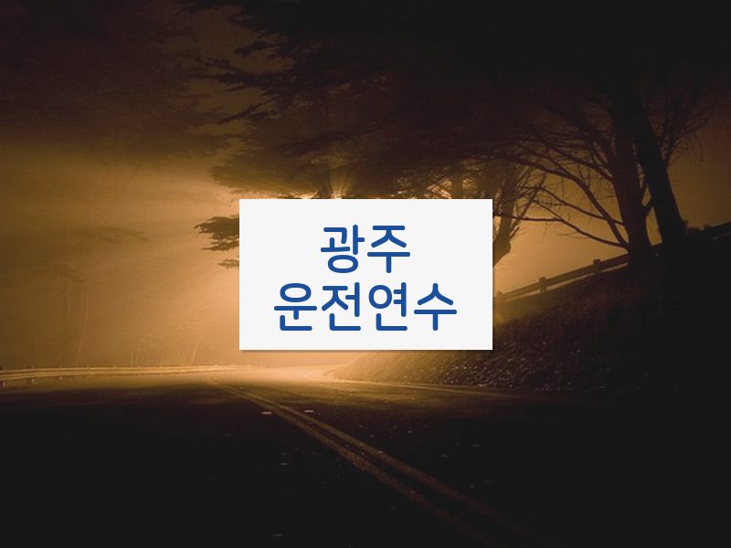 광주운전연수 후기