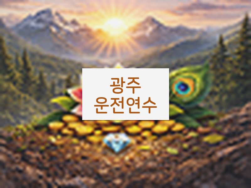 광주운전연수 후기