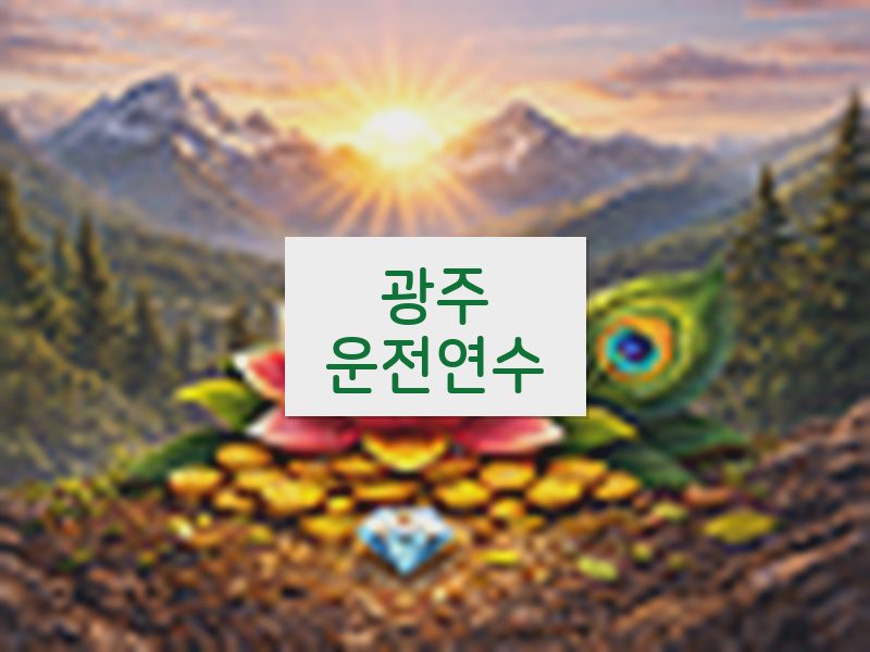 광주운전연수 후기