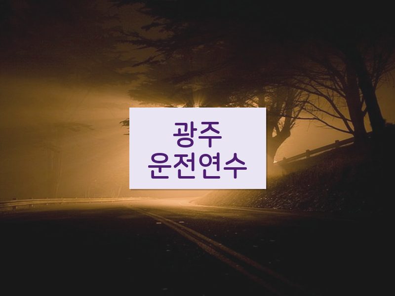광주운전연수 후기