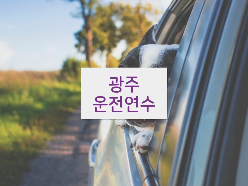 광주운전연수 후기