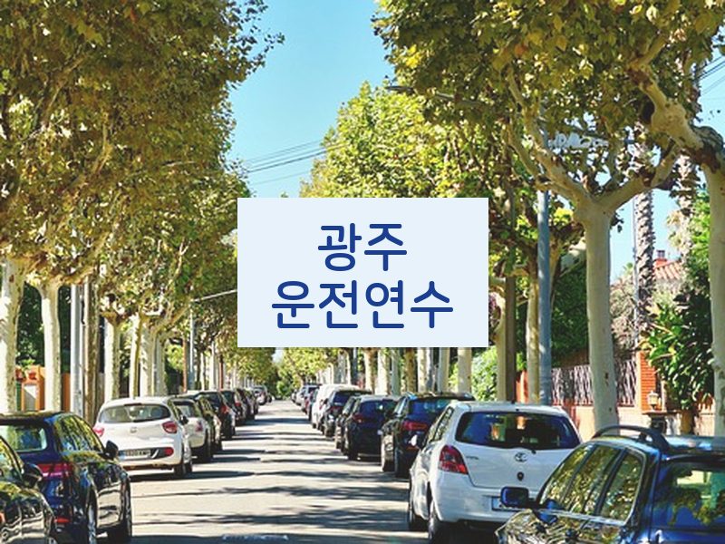 광주운전연수 후기