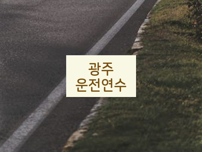 광주운전연수 후기