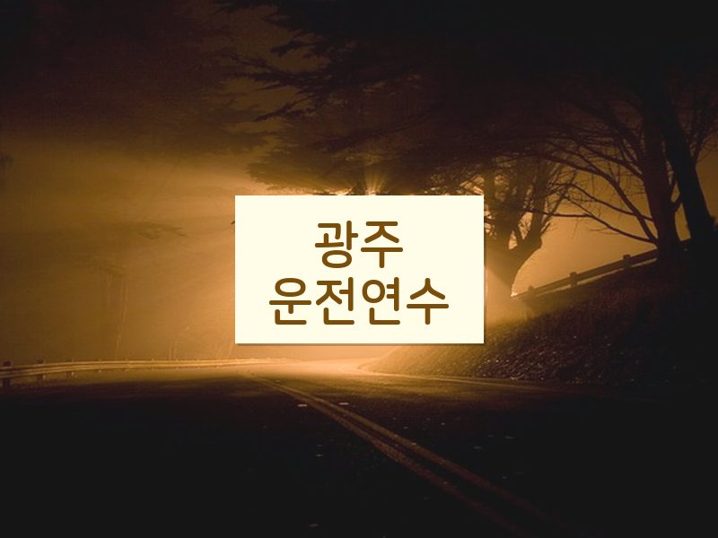 광주운전연수 후기