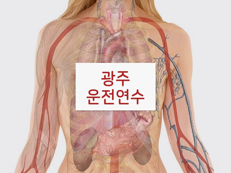 광주운전연수 후기