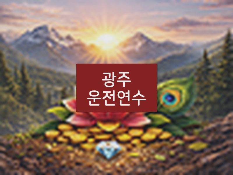 광주운전연수 후기